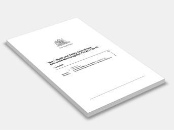 Work Health and Safety Amendment (Industrial Manslaughter) Act 2024 No 43 cover